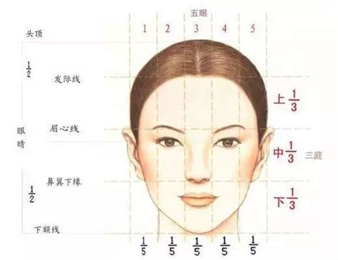 目字面|面相入门丨三庭五眼，六种脸型，你知道自己是哪一种吗？